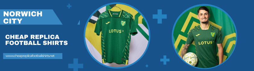 replica Norwich City shirt 2023-2024